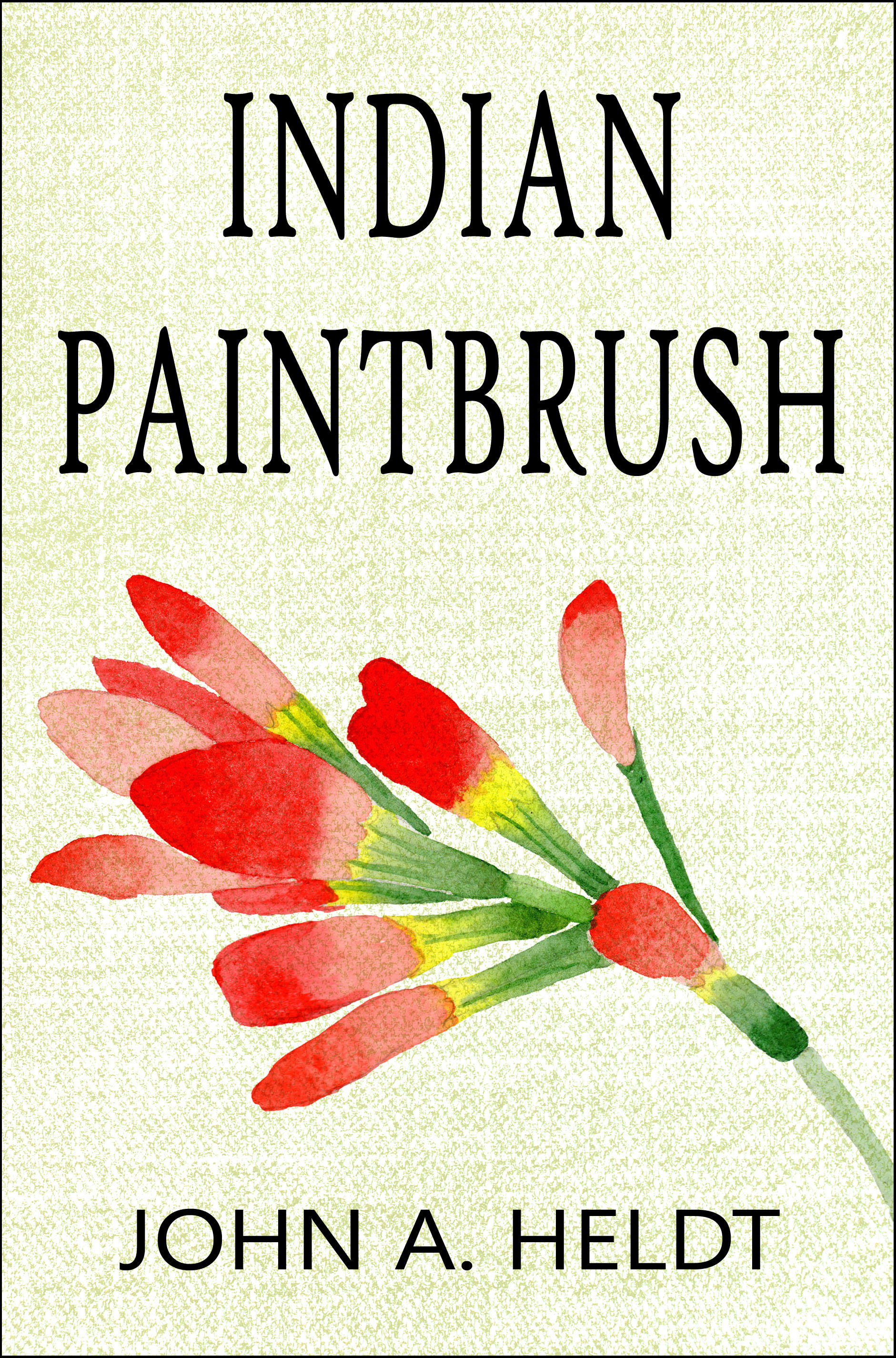 Indian Paintbrush