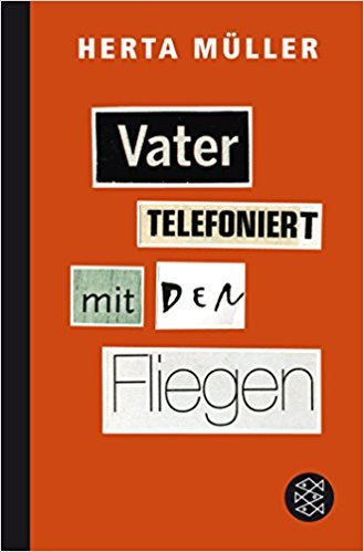 Father's on the Phone with the Flies book cover