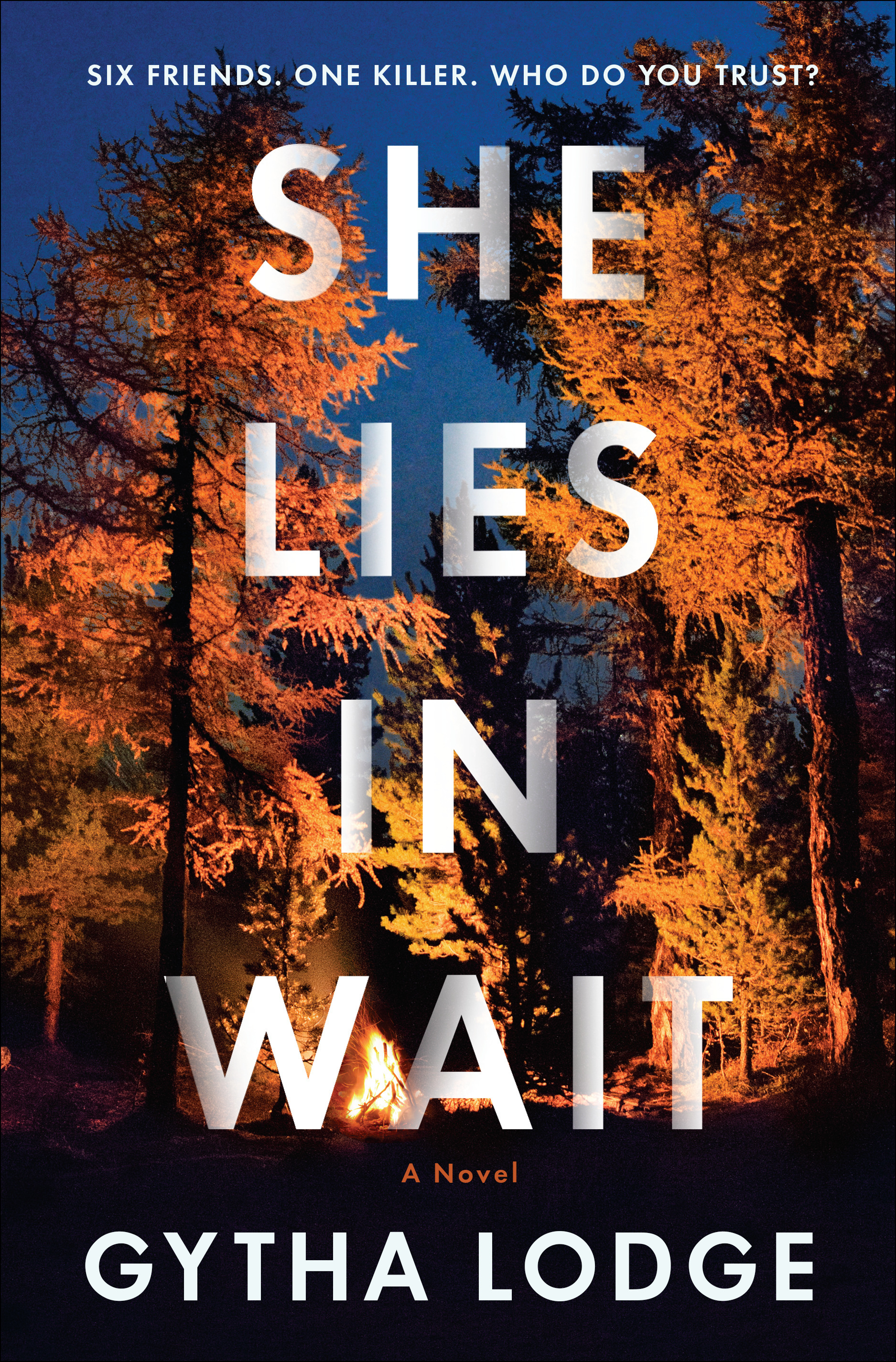 She Lies in Wait (DCI Jonah Sheens, #1)