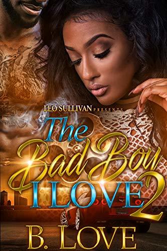 The Bad Boy I Love 2 book cover