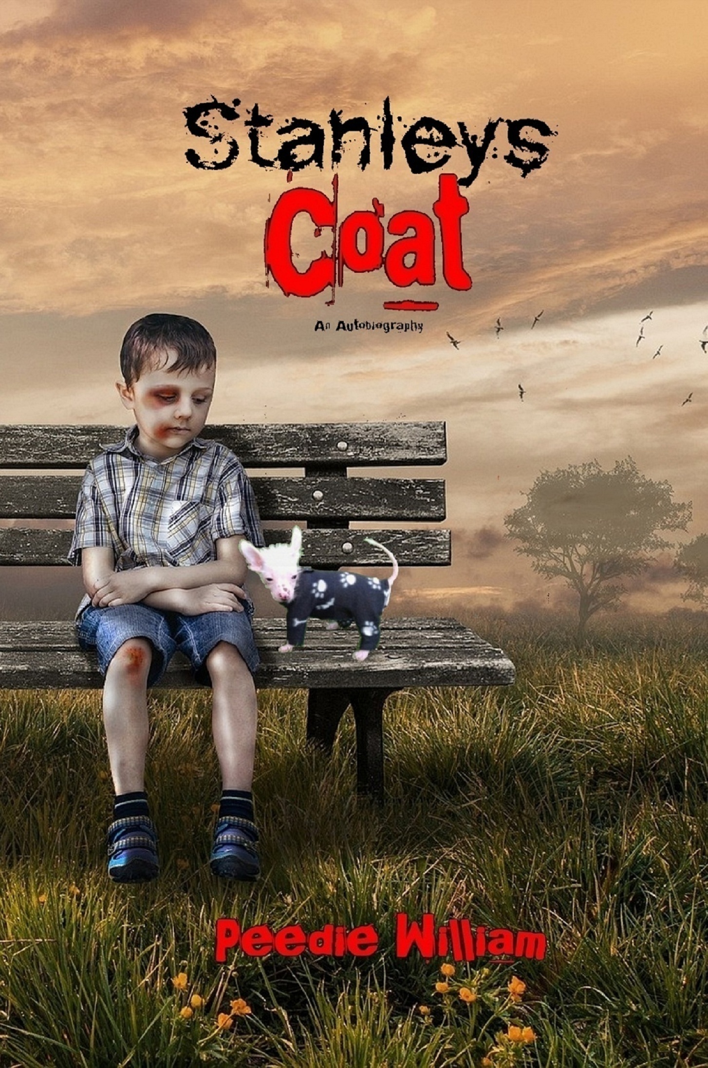 Stanley's Coat