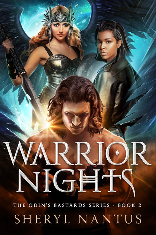 Warrior Nights book cover