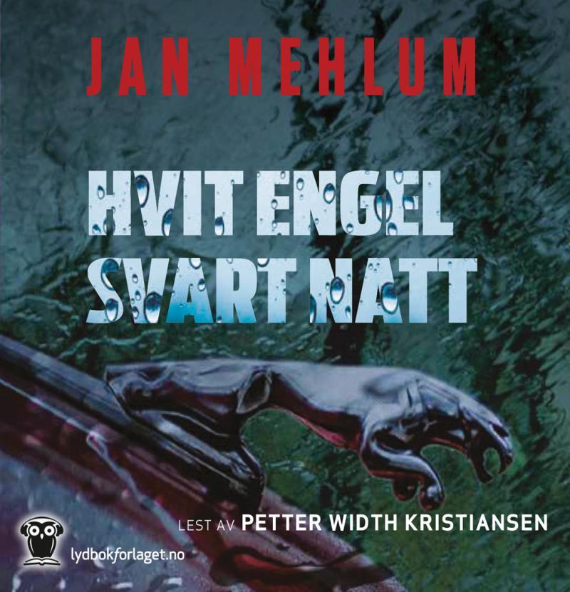 Hvit engel, svart natt book cover
