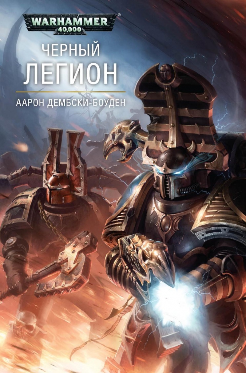 Одиннадцатый легион. Книга про 11 жизней. Дэн абнетт легион. Абнетт легион. Книга 1+1=11.