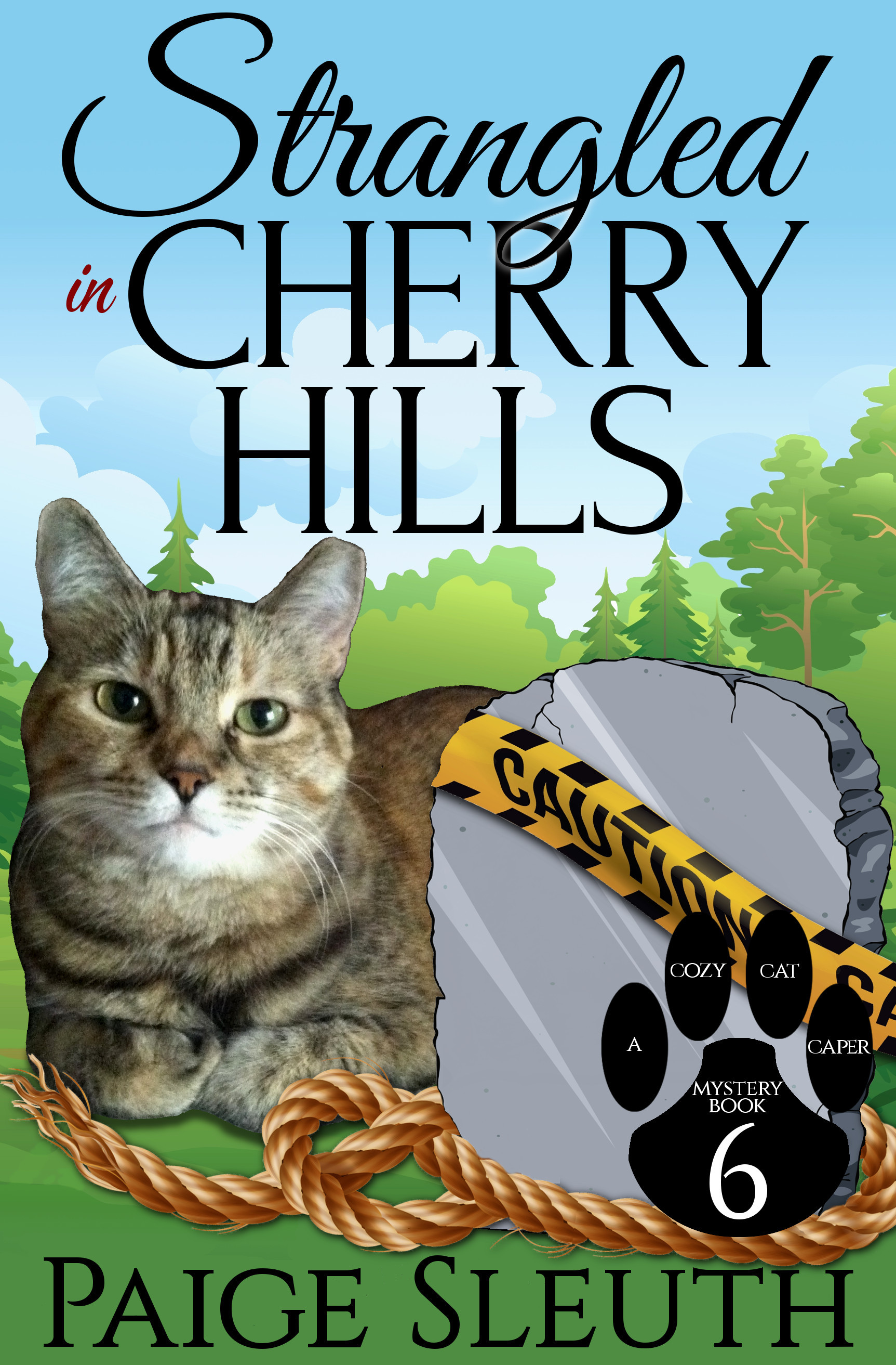 Strangled in Cherry Hills book cover