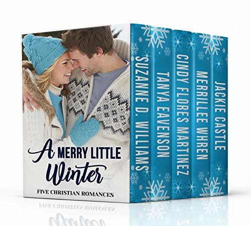 A Merry Little Winter book cover