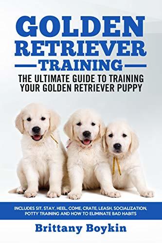 Golden Retriever Training: The Ultimate Guide to Training Your Golden ...