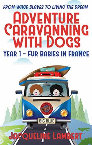 Year 1 - Fur Babies in France: From Wage Slaves to Living the Dream