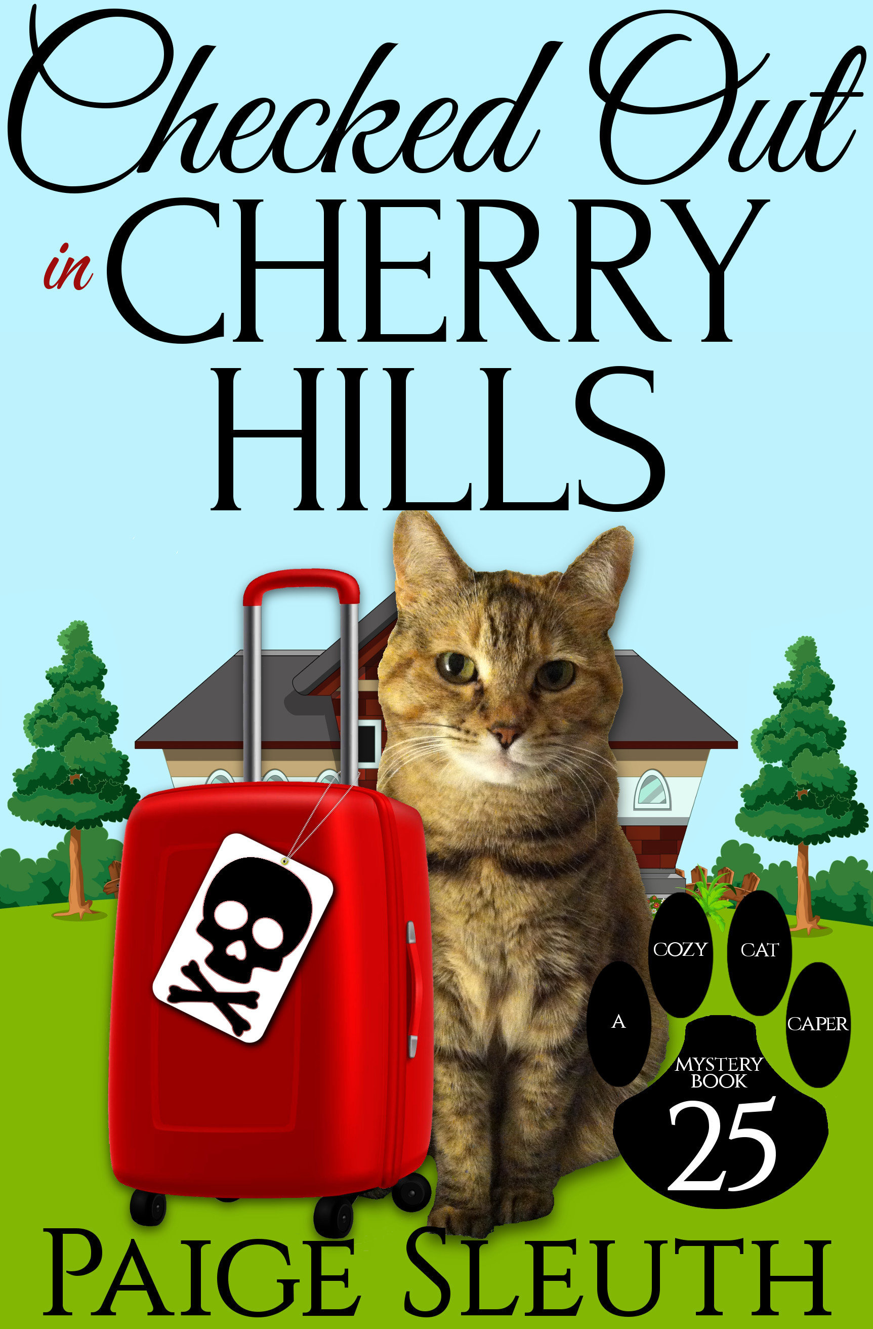 Cozy Cat Caper Mystery book cover 3