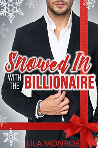 Snowed In book cover