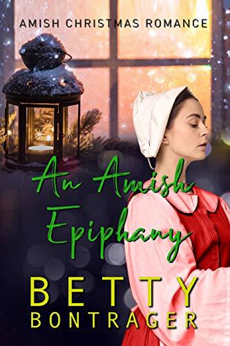 An Amish Epiphany book cover