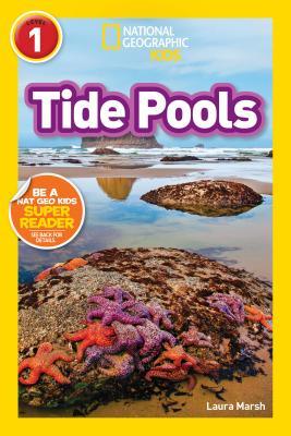 Tide Pools
