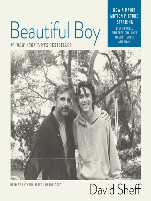 Beautiful Boy: A Father's Journey Through His Son's Addiction