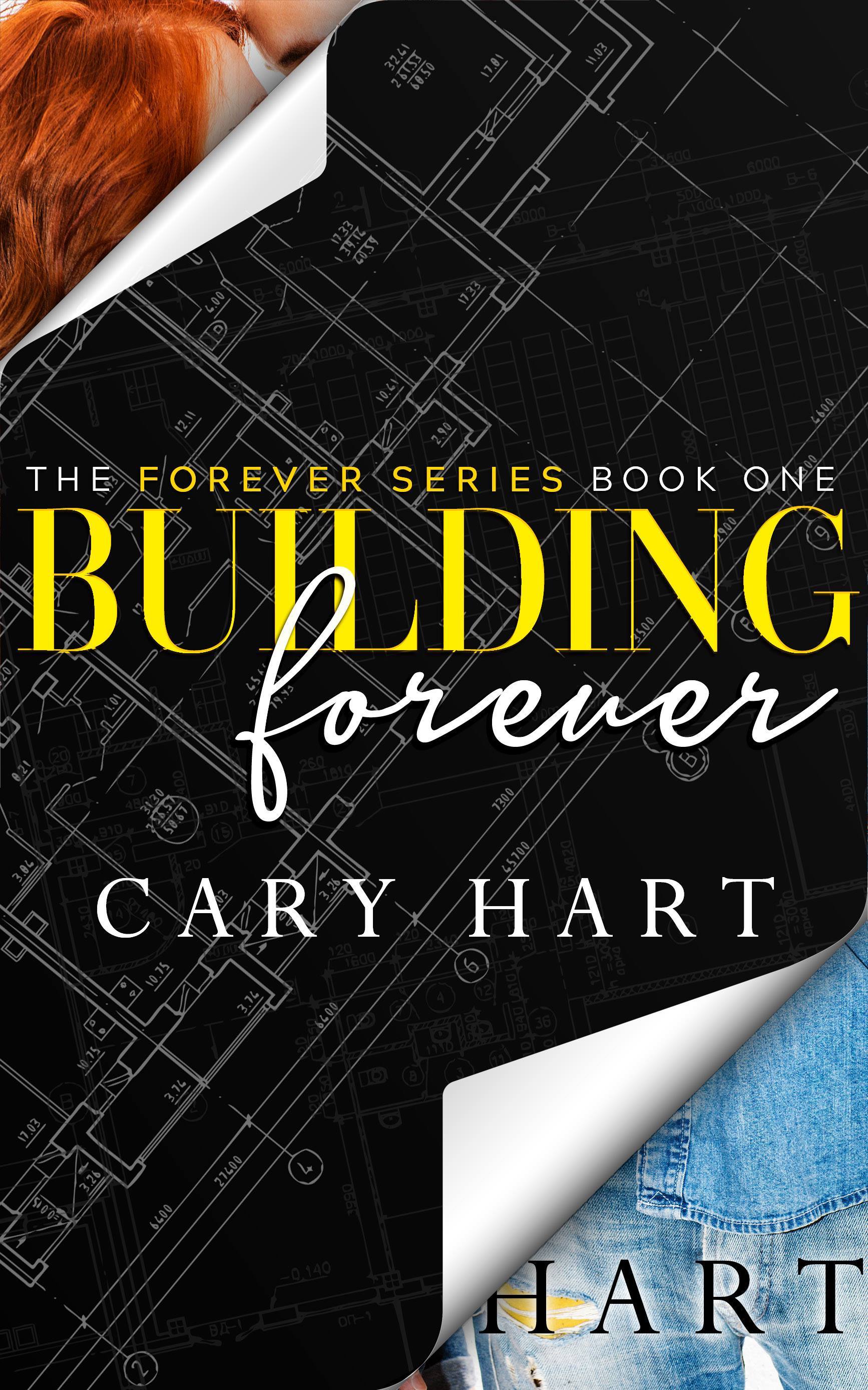 The Forever Series book cover 1