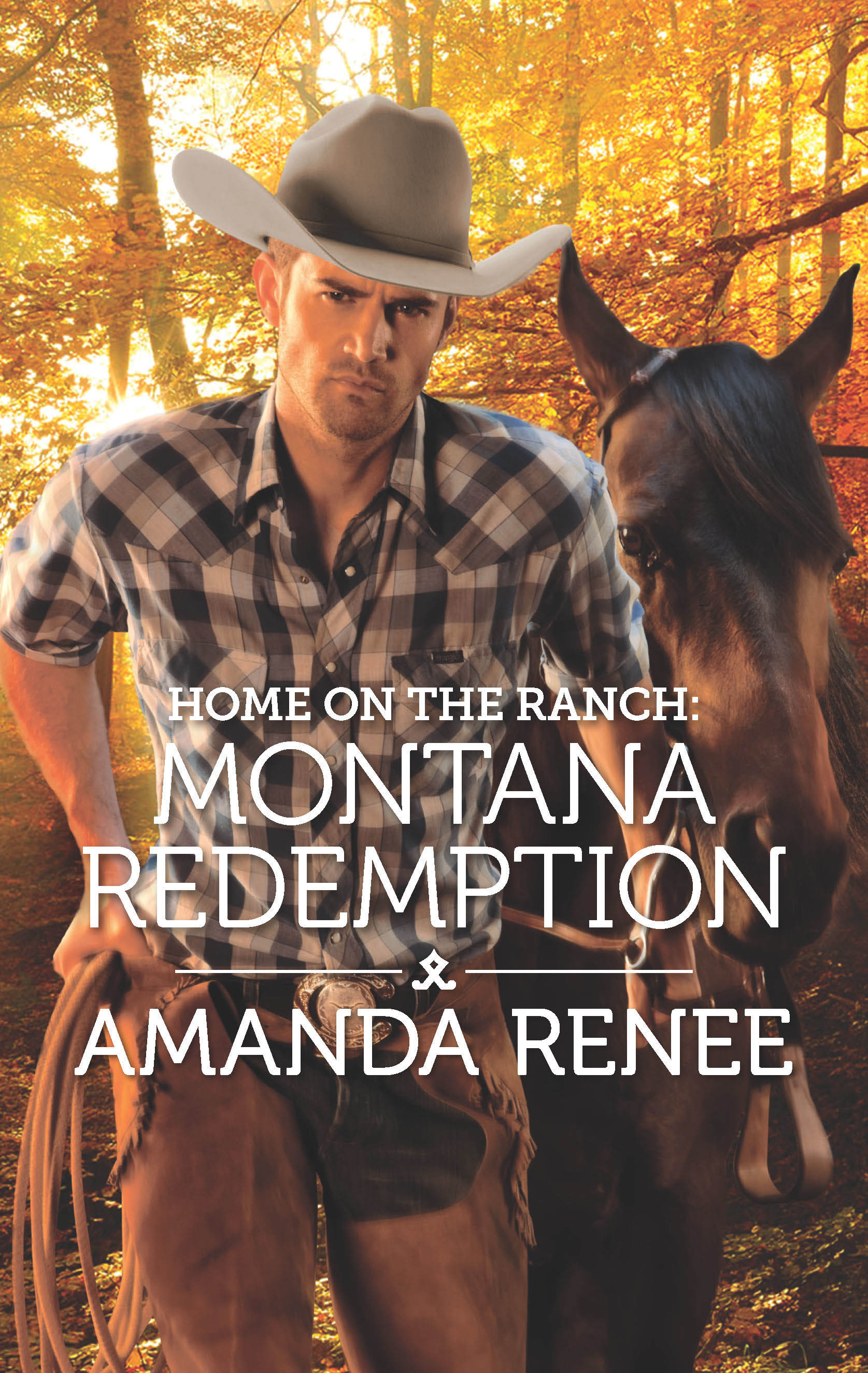 Home on the Ranch book cover