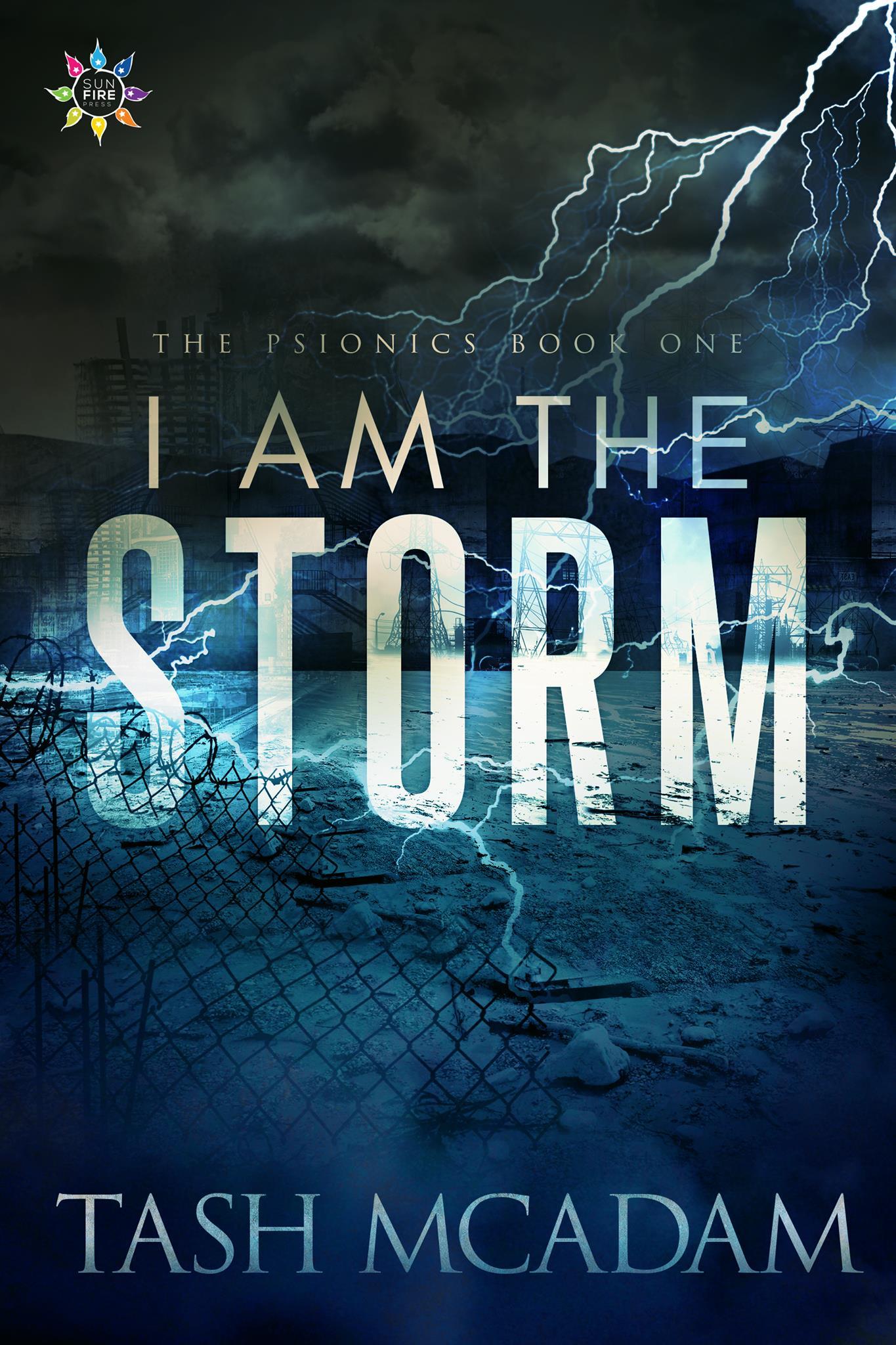 I Am the Storm book cover