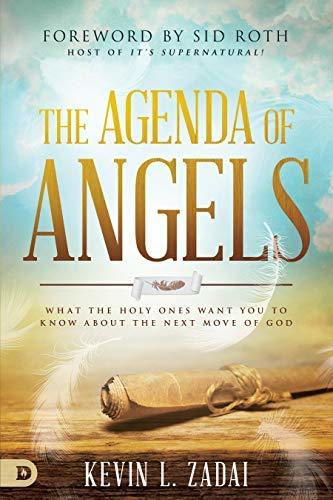 The Agenda of Angels book cover