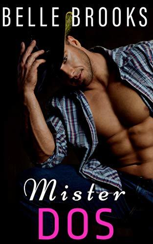 Mister, Mister book cover 2