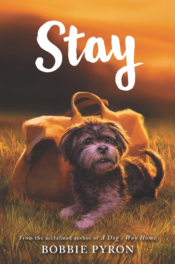 Stay