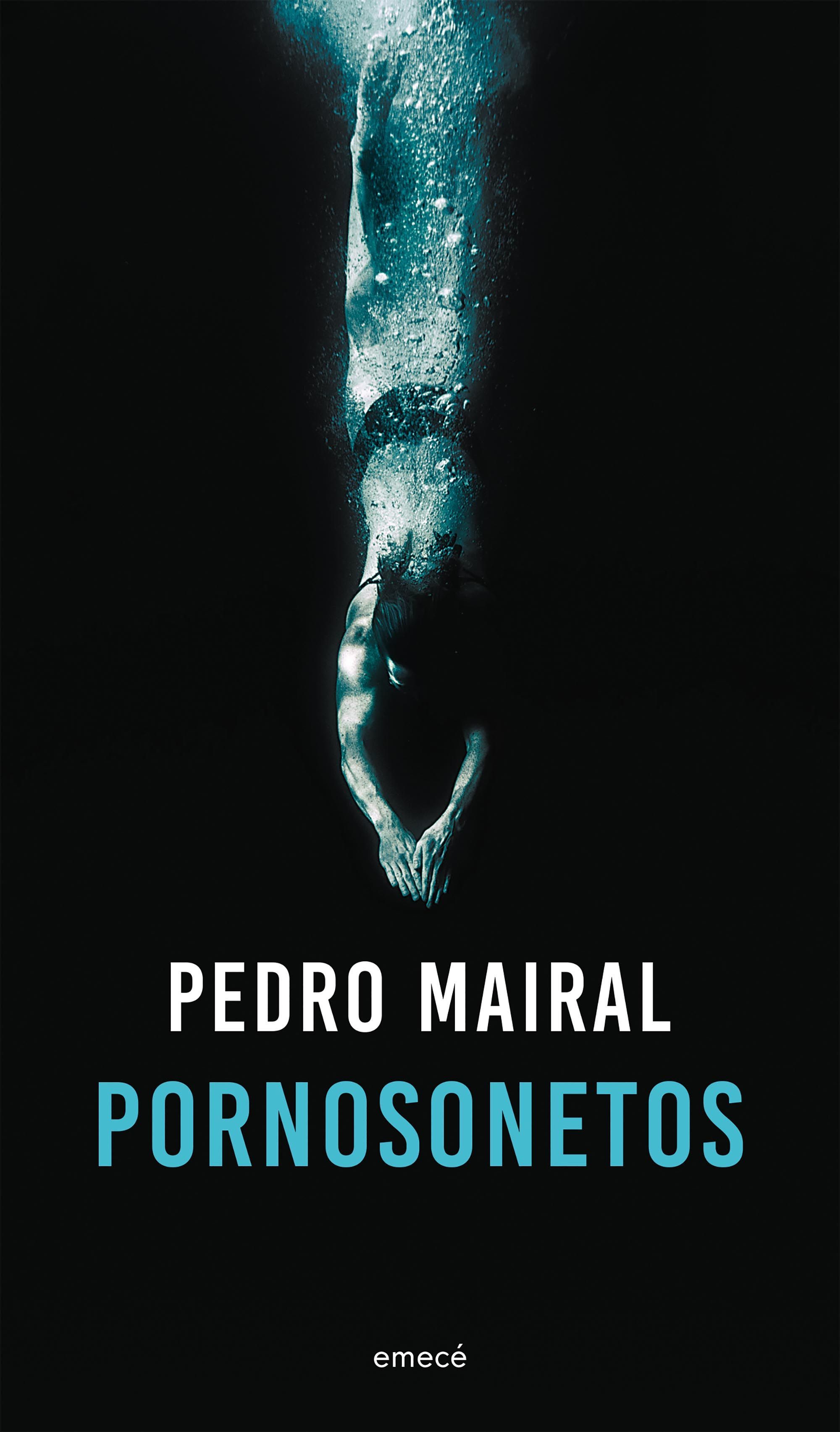 Pornosonetos book cover