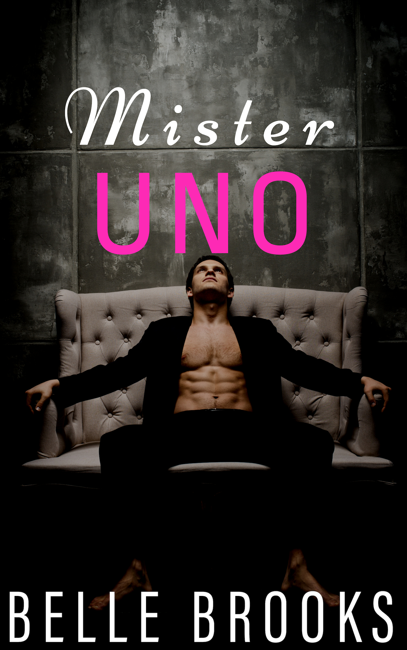 Mister, Mister book cover 1