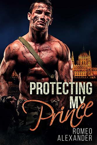 Protecting My Prince book cover