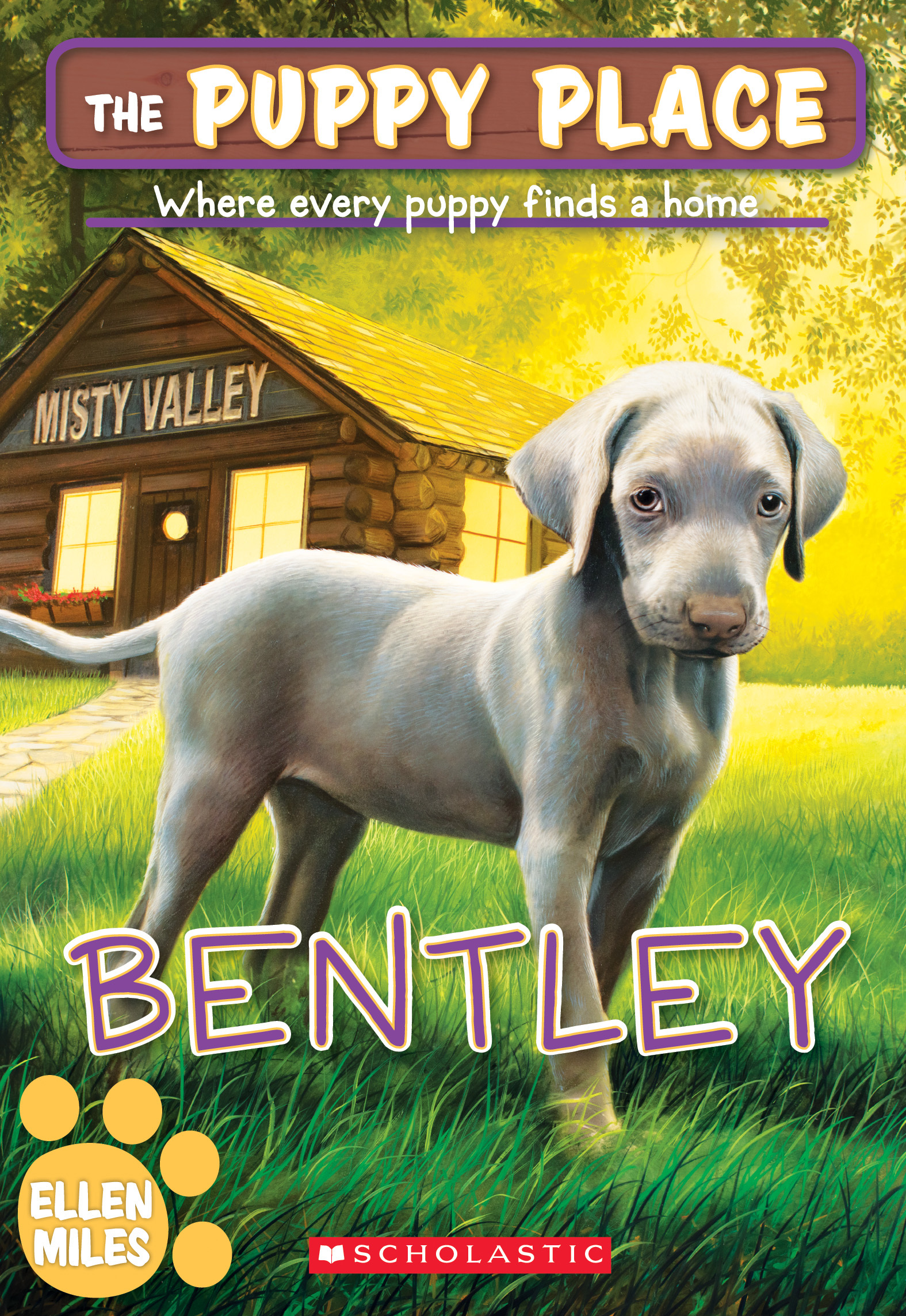 Bentley book cover