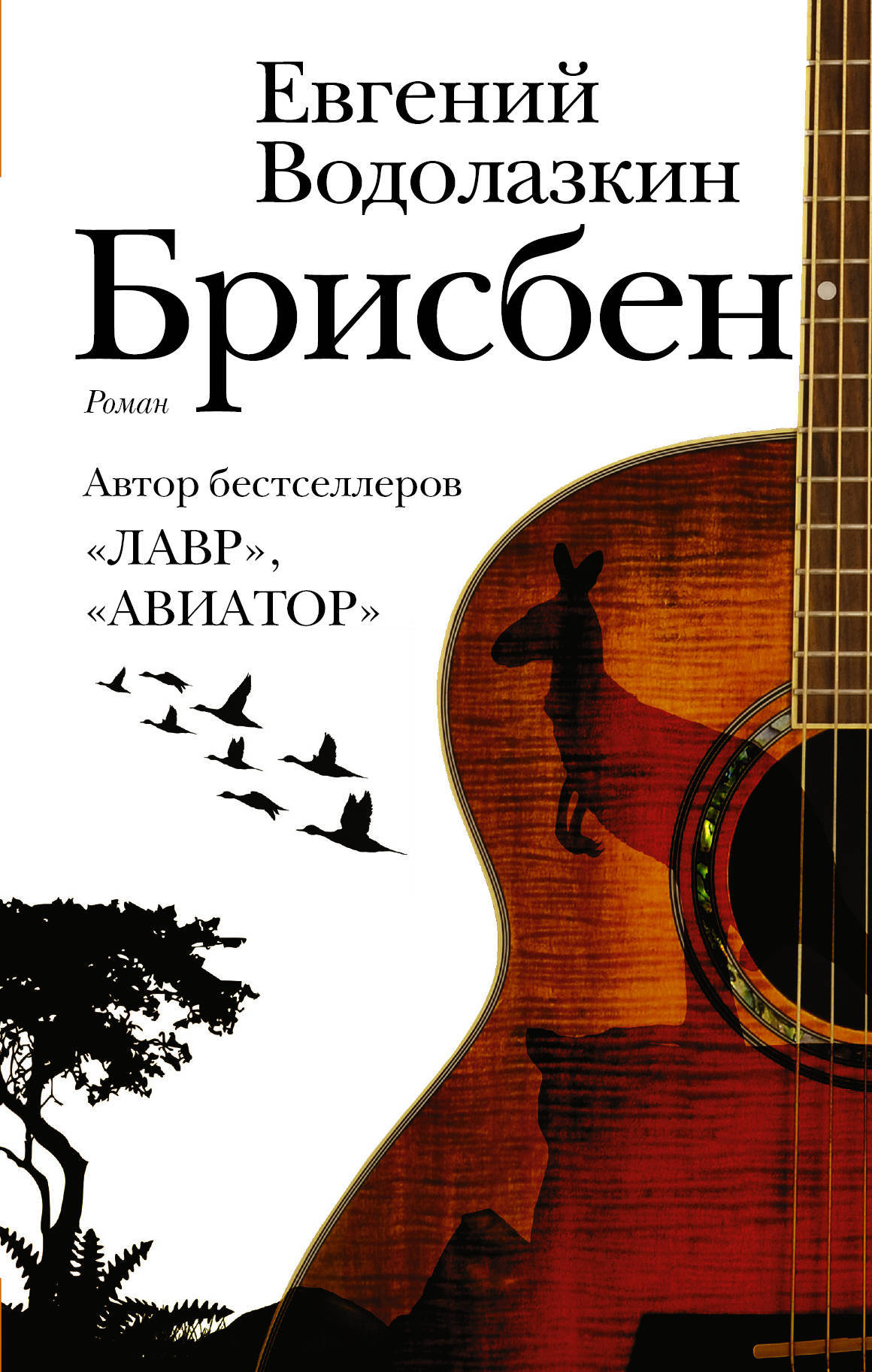 Brisbane book cover