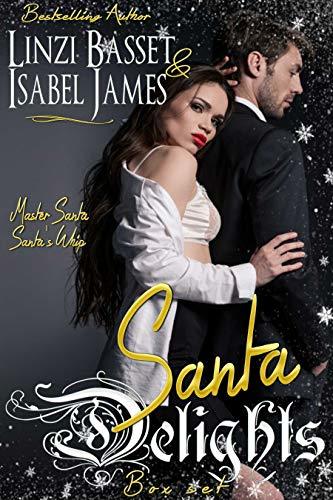 Santa Delights book cover