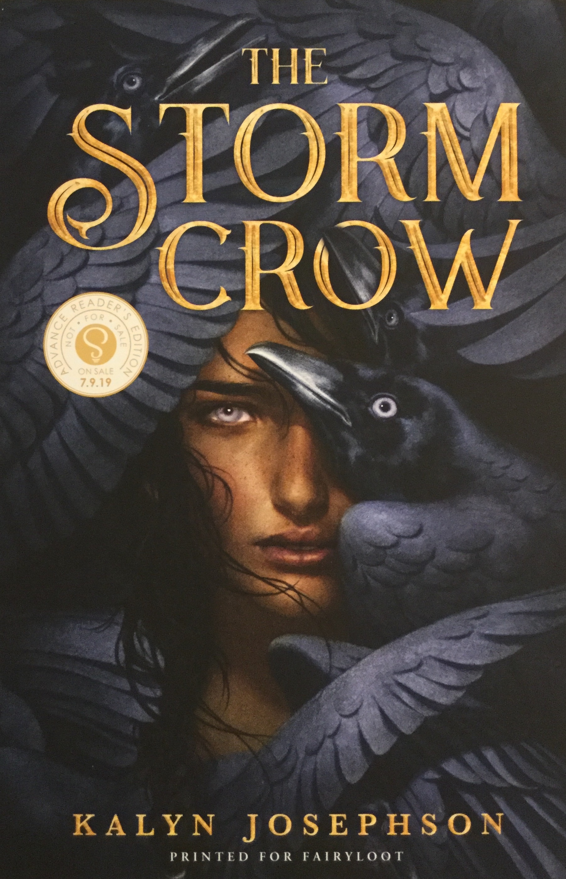 The Storm Crow (The Storm Crow, #1)