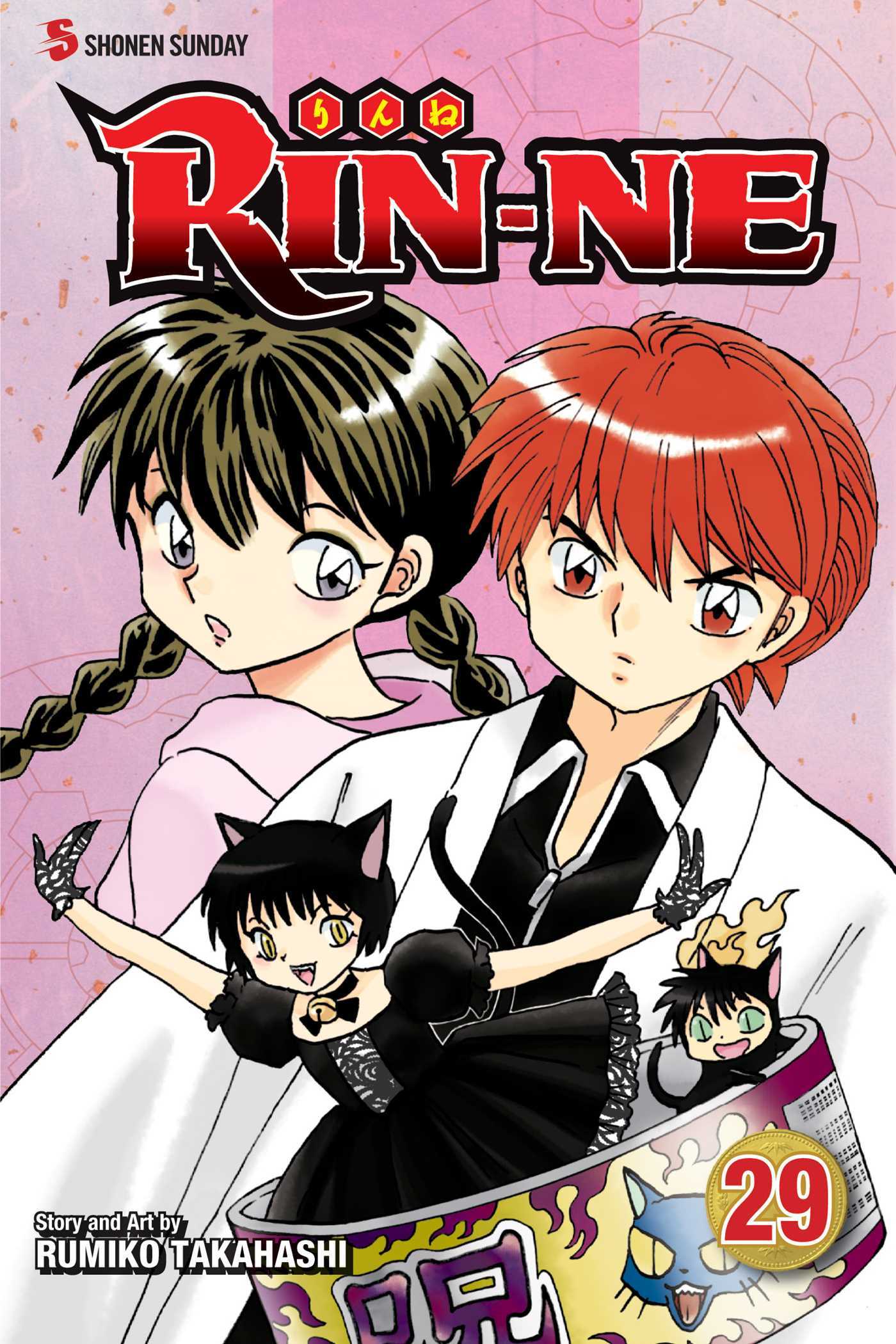 RIN-NE, Vol. 29 book cover