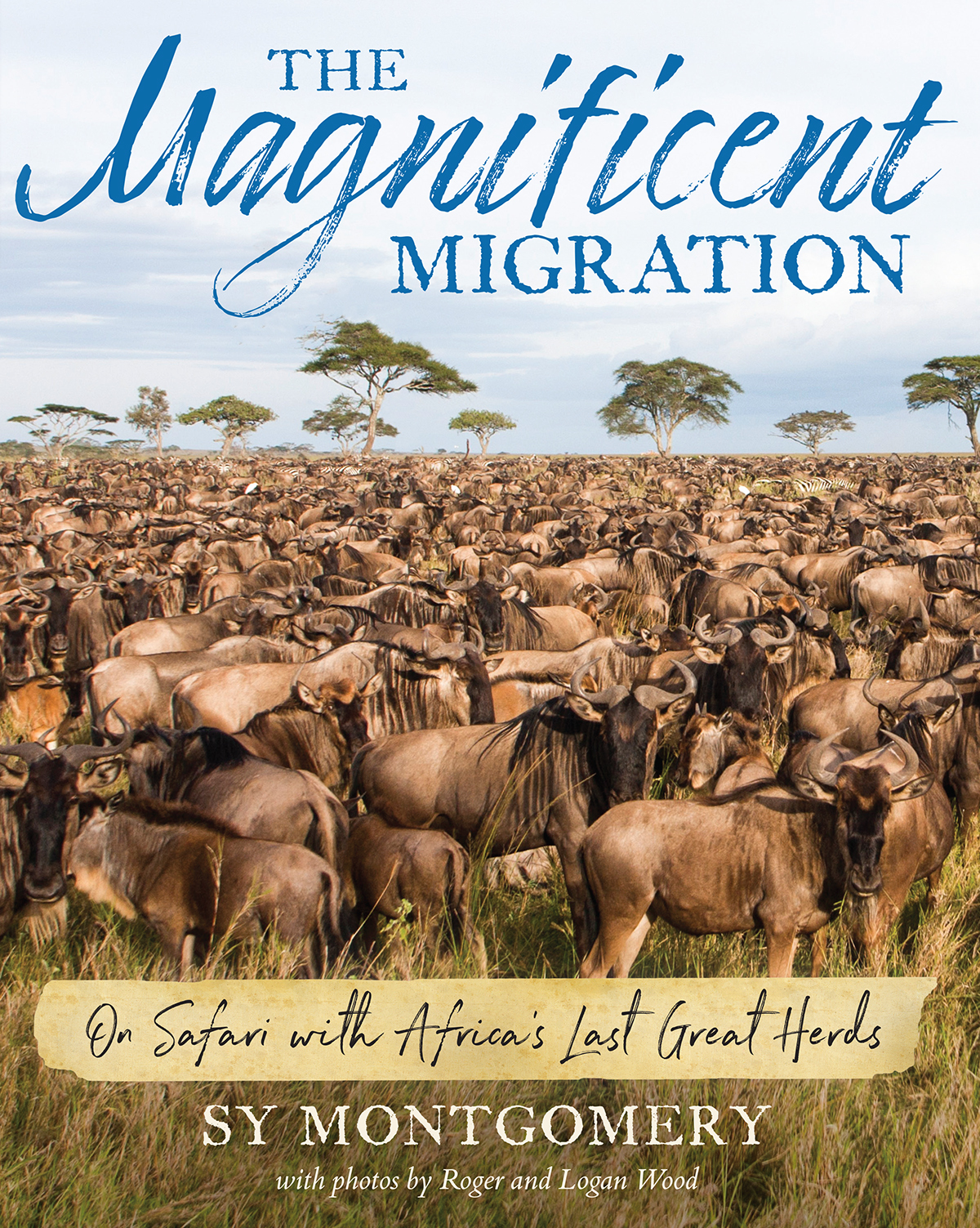 The Magnificent Migration book cover