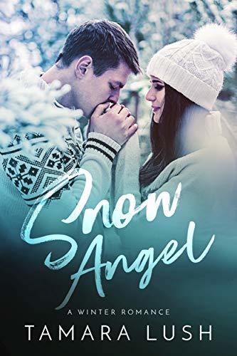 Snow Angel book cover