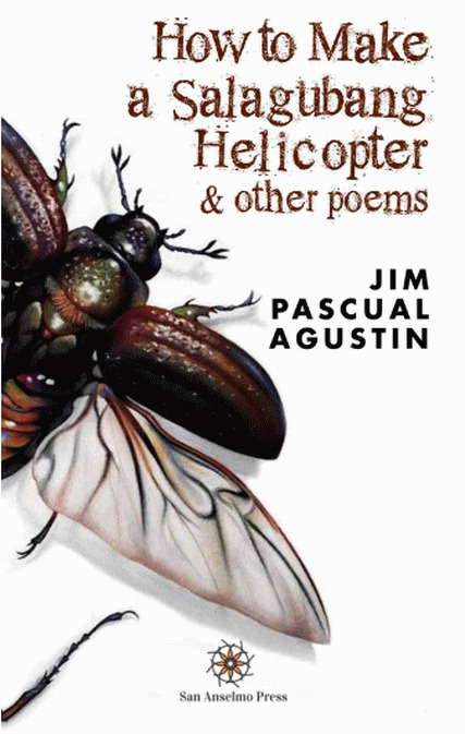 How to Make a Salagubang Helicopter & other poems book cover