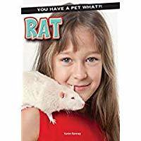 Rat book cover