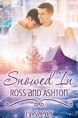Snowed In book cover