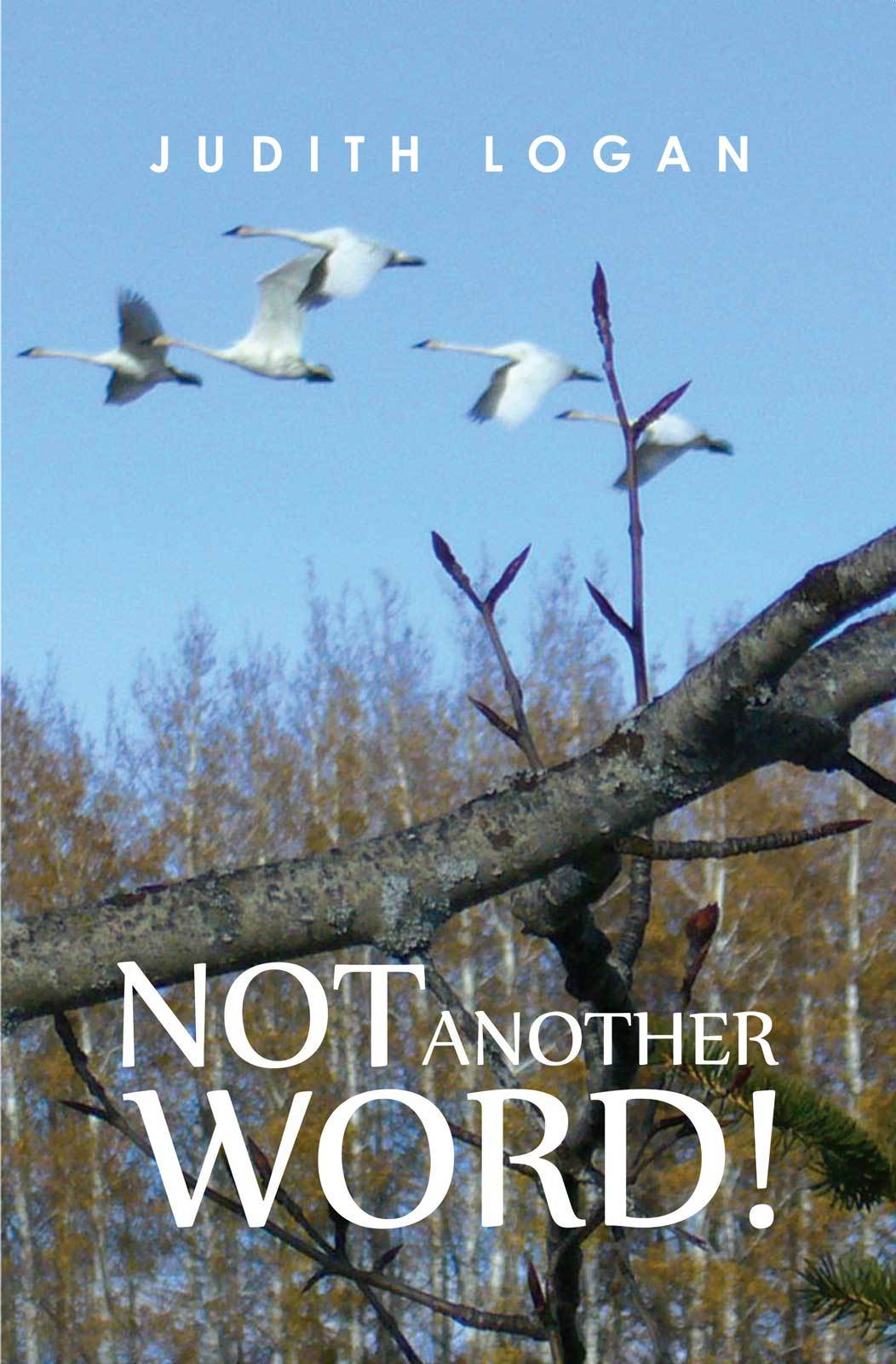 Not Another Word! by Judith Logan Goodreads