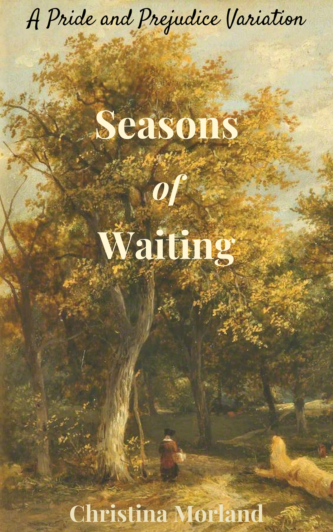 Seasons of Waiting book cover