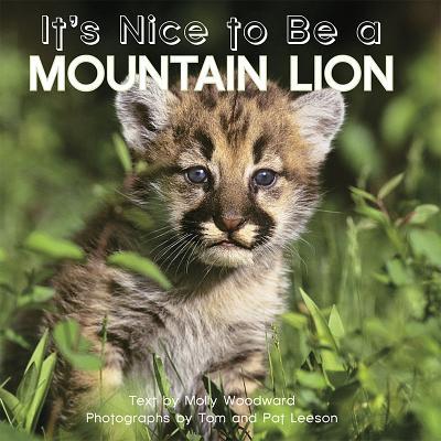 It's Nice to Be a Mountain Lion by Molly Woodward | Goodreads