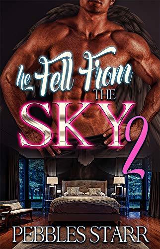 He Fell From The Sky 2 book cover