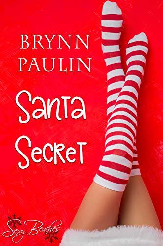 Santa Secret book cover