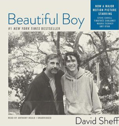 Beautiful Boy: A Father's Journey Through His Son's Addiction