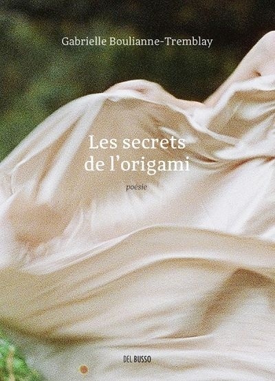 Les secrets de l'origami book cover