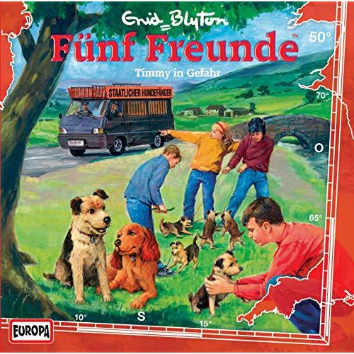 Fünf Freunde - Timmy in Gefahr book cover