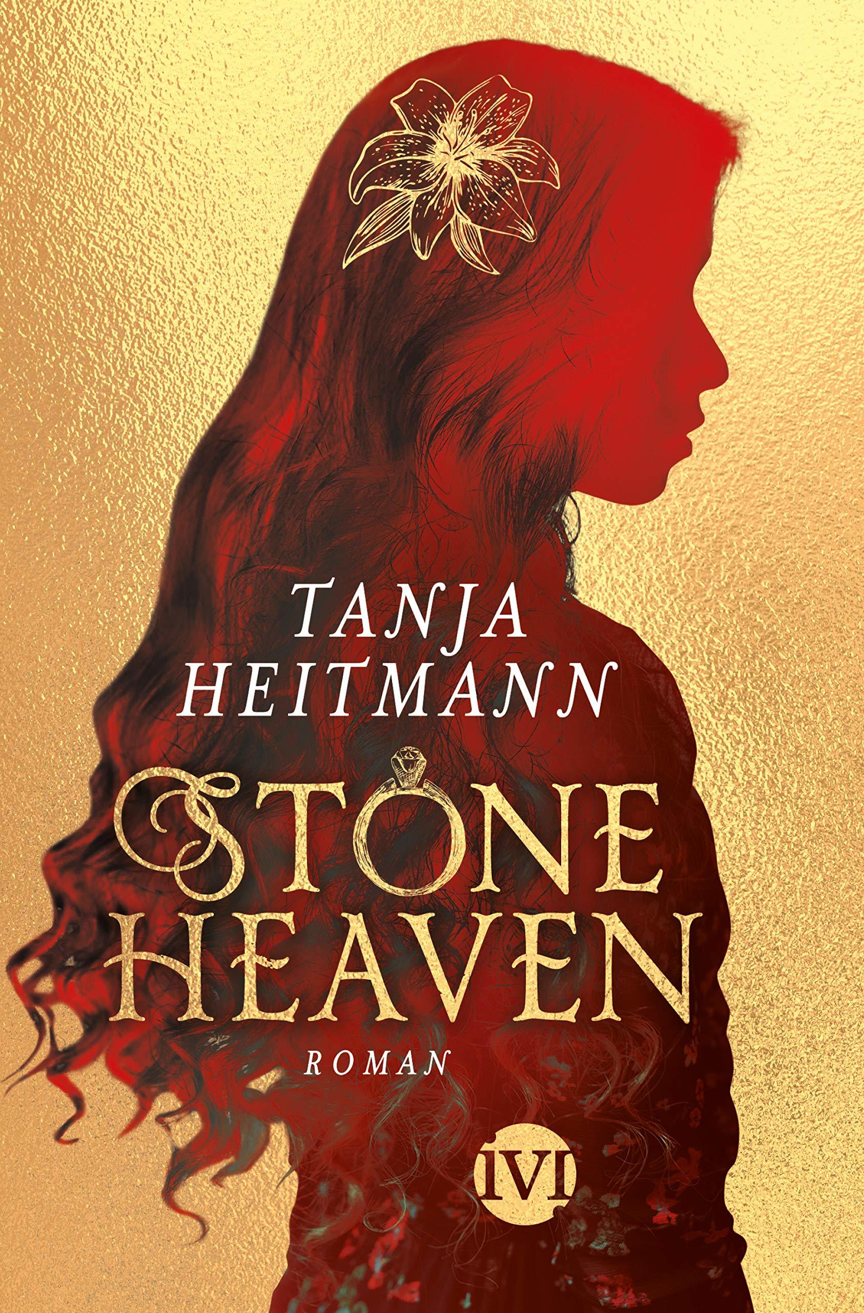 Stoneheaven book cover