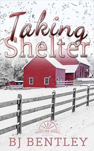 Taking Shelter book cover