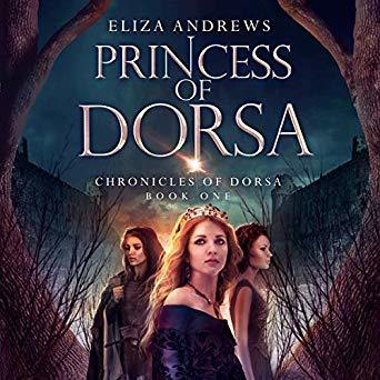 Princess of Dorsa (The Chronicles of Dorsa Book 1)