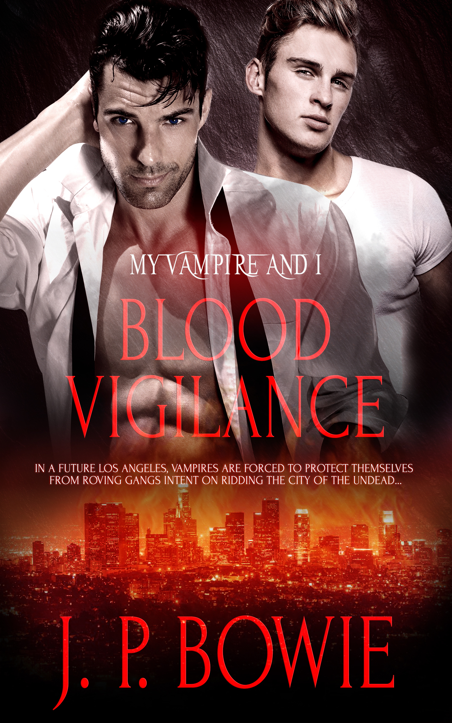 Blood Vigilance book cover
