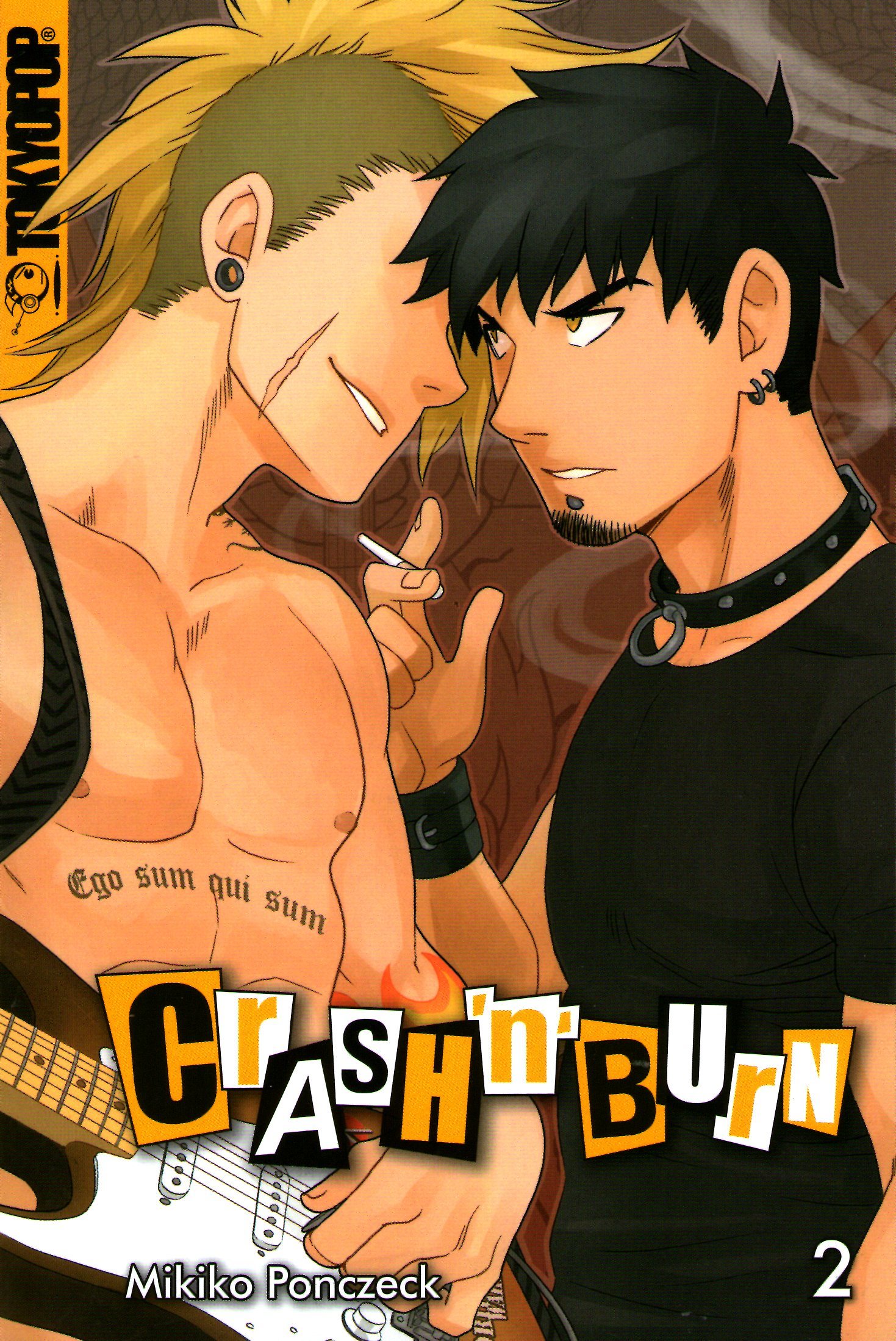 Crash 'n' Burn book cover 2
