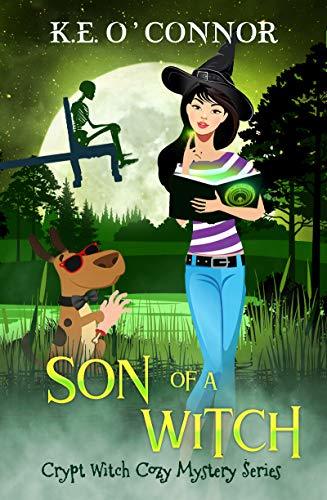 Son of a Witch book cover